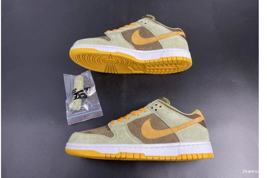 DH5360-300 Olive Nike Low Dusty Dunk 1003